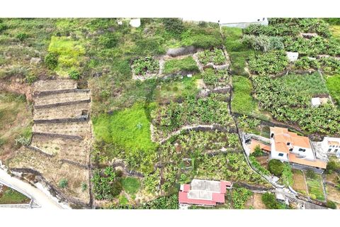 Helårsgrund i Arco da Calheta, Madeira, Arco da Calheta - € 125.000 | Ref: TER_11 - foto 13