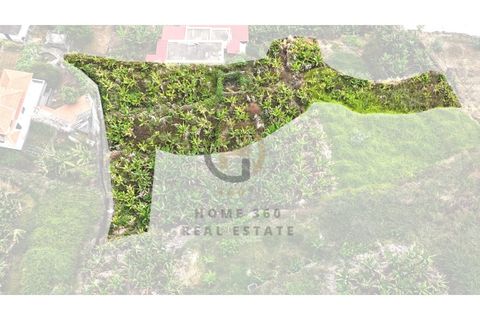 Helårsgrund i Arco da Calheta, Madeira, Arco da Calheta - € 125.000 | Ref: TER_11 - foto 14
