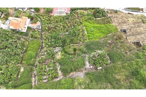 Helårsgrund i Arco da Calheta, Madeira, Arco da Calheta - € 125.000 | Ref: TER_11 - foto 15