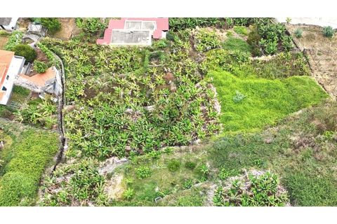 Helårsgrund i Arco da Calheta, Madeira, Arco da Calheta - € 125.000 | Ref: TER_11 - foto 16