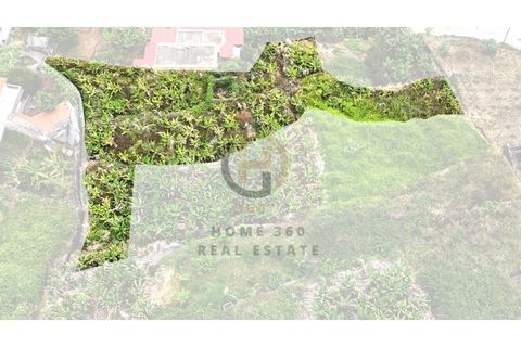 Helårsgrund i Arco da Calheta, Madeira, Arco da Calheta - € 125.000 | Ref: TER_11 - foto 17