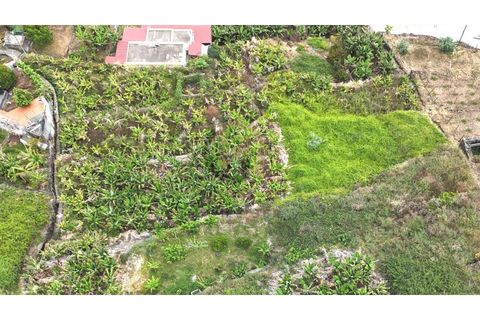 Helårsgrund i Arco da Calheta, Madeira, Arco da Calheta - € 125.000 | Ref: TER_11 - foto 18