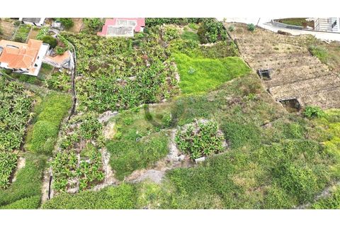 Helårsgrund i Arco da Calheta, Madeira, Arco da Calheta - € 125.000 | Ref: TER_11 - foto 19