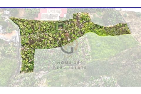 Helårsgrund i Arco da Calheta, Madeira, Arco da Calheta - € 125.000 | Ref: TER_11 - foto 20