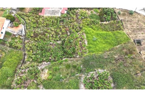 Helårsgrund i Arco da Calheta, Madeira, Arco da Calheta - € 125.000 | Ref: TER_11 - foto 21