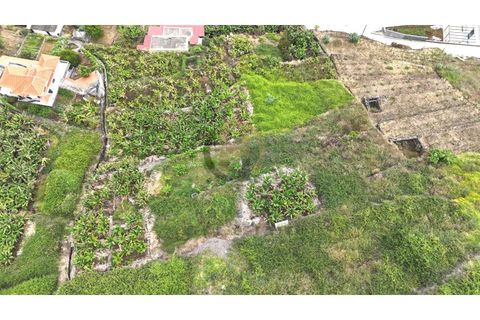 Helårsgrund i Arco da Calheta, Madeira, Arco da Calheta - € 125.000 | Ref: TER_11 - foto 22