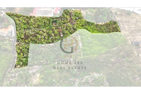 Helårsgrund i Arco da Calheta, Madeira, Arco da Calheta - € 125.000 | Ref: TER_11 - foto 23