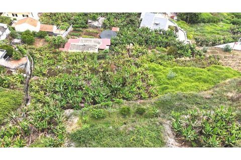 Helårsgrund i Arco da Calheta, Madeira, Arco da Calheta - € 125.000 | Ref: TER_11 - foto 24
