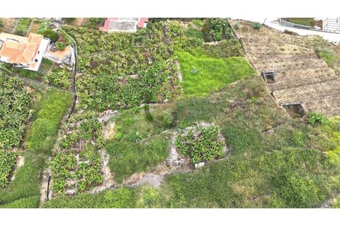 Helårsgrund i Arco da Calheta, Madeira, Arco da Calheta - € 125.000 | Ref: TER_11 - foto 25
