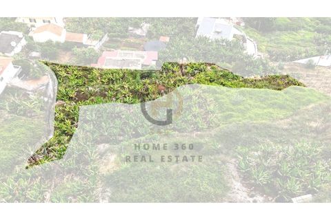 Helårsgrund i Arco da Calheta, Madeira, Arco da Calheta - € 125.000 | Ref: TER_11 - foto 26