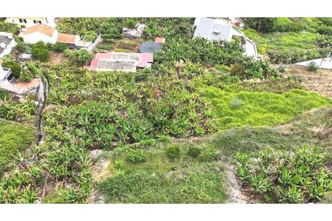 Helårsgrund i Arco da Calheta, Madeira, Arco da Calheta - € 125.000 | Ref: TER_11 - foto 27