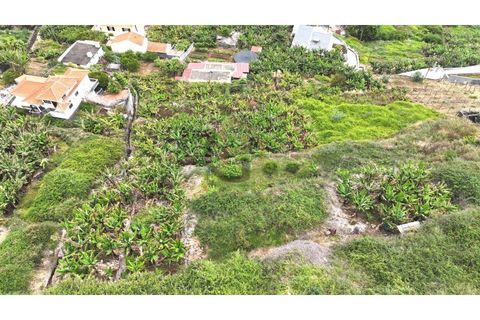 Helårsgrund i Arco da Calheta, Madeira, Arco da Calheta - € 125.000 | Ref: TER_11 - foto 28