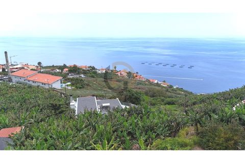 Helårsgrund i Arco da Calheta, Madeira, Arco da Calheta - € 125.000 | Ref: TER_11 - foto 29