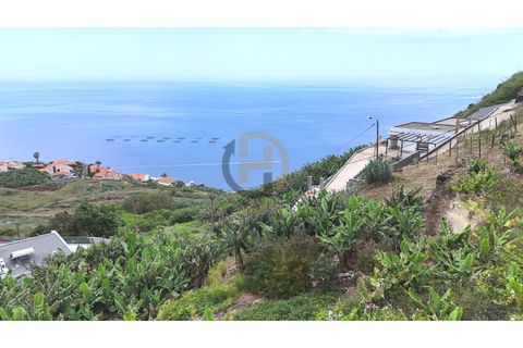 Helårsgrund i Arco da Calheta, Madeira, Arco da Calheta - € 125.000 | Ref: TER_11 - foto 30