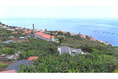 Helårsgrund i Arco da Calheta, Madeira, Arco da Calheta - € 125.000 | Ref: TER_11 - foto 31