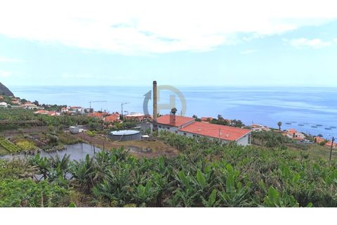 Helårsgrund i Arco da Calheta, Madeira, Arco da Calheta - € 125.000 | Ref: TER_11 - foto 32
