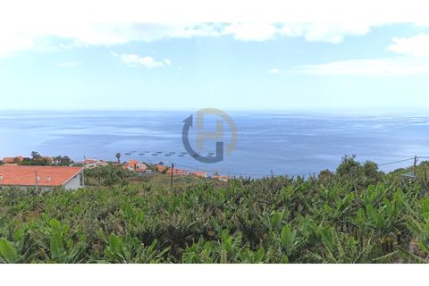 Helårsgrund i Arco da Calheta, Madeira, Arco da Calheta - € 125.000 | Ref: TER_11 - foto 33