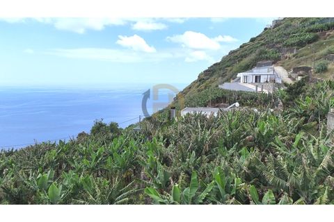 Helårsgrund i Arco da Calheta, Madeira, Arco da Calheta - € 125.000 | Ref: TER_11 - foto 34
