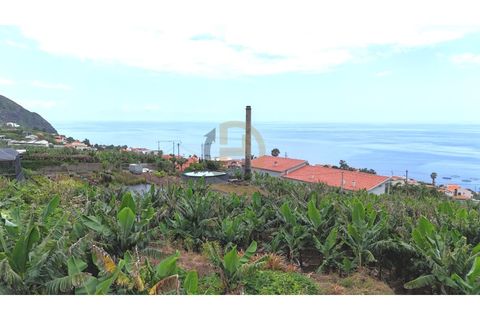 Helårsgrund i Arco da Calheta, Madeira, Arco da Calheta - € 125.000 | Ref: TER_11 - foto 35