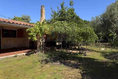 Villa a Sassari, Sassari, Sassari - € 539.000 | Ref: 13775 - foto 45