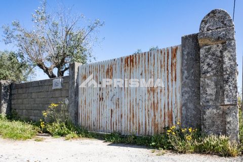 Helårsgrund i Castelo Branco, Castelo Branco, Castelo Branco - € 56.500 | Ref: PP4540 - foto 2