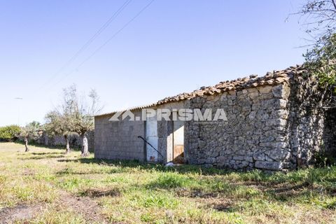 Helårsgrund i Castelo Branco, Castelo Branco, Castelo Branco - € 56.500 | Ref: PP4540 - foto 1