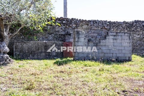 Helårsgrund i Castelo Branco, Castelo Branco, Castelo Branco - € 56.500 | Ref: PP4540 - foto 6