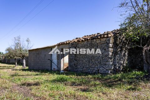 Helårsgrund i Castelo Branco, Castelo Branco, Castelo Branco - € 56.500 | Ref: PP4540 - foto 8