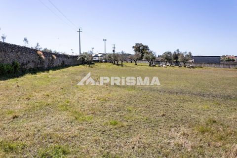 Helårsgrund i Castelo Branco, Castelo Branco, Castelo Branco - € 56.500 | Ref: PP4540 - foto 10