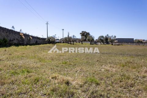 Helårsgrund i Castelo Branco, Castelo Branco, Castelo Branco - € 56.500 | Ref: PP4540 - foto 11