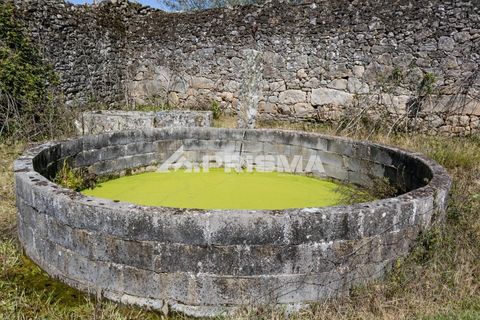 Helårsgrund i Castelo Branco, Castelo Branco, Castelo Branco - € 56.500 | Ref: PP4540 - foto 18
