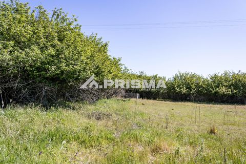 Helårsgrund i Castelo Branco, Castelo Branco, Castelo Branco - € 56.500 | Ref: PP4540 - foto 13