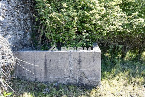 Helårsgrund i Castelo Branco, Castelo Branco, Castelo Branco - € 56.500 | Ref: PP4540 - foto 15