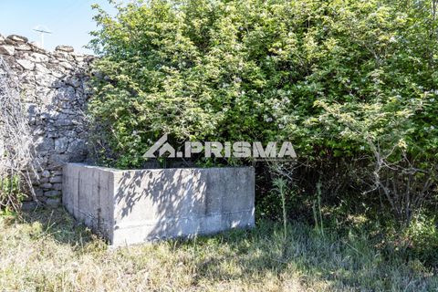 Helårsgrund i Castelo Branco, Castelo Branco, Castelo Branco - € 56.500 | Ref: PP4540 - foto 16