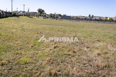 Helårsgrund i Castelo Branco, Castelo Branco, Castelo Branco - € 56.500 | Ref: PP4540 - foto 17