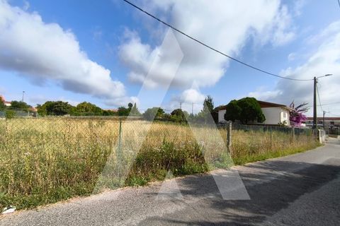 Helårsgrund i Oia, Aveiro, Oia - € 40.000 | Ref: 1040731/25 BR - foto 1