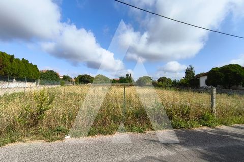 Helårsgrund i Oia, Aveiro, Oia - € 40.000 | Ref: 1040731/25 BR - foto 2