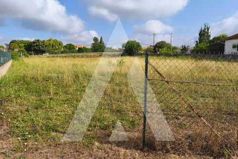 Helårsgrund i Oia, Aveiro, Oia - € 40.000 | Ref: 1040731/25 BR - foto 3