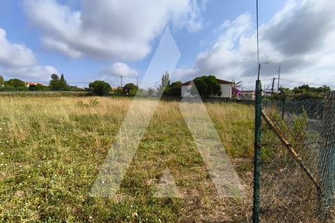 Helårsgrund i Oia, Aveiro, Oia - € 40.000 | Ref: 1040731/25 BR - foto 4