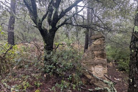 Terreno en Cotignac, Var, Cotignac - € 33.000 | Ref: 3598 - photo 1