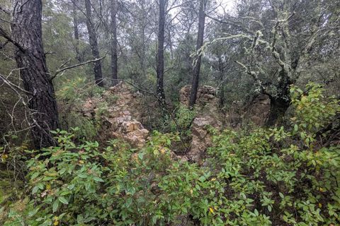 Terreno en Cotignac, Var, Cotignac - € 33.000 | Ref: 3598 - photo 2