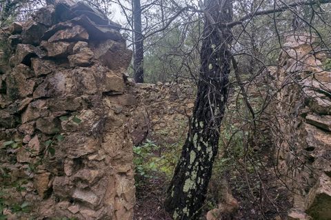 Terreno en Cotignac, Var, Cotignac - € 33.000 | Ref: 3598 - photo 5