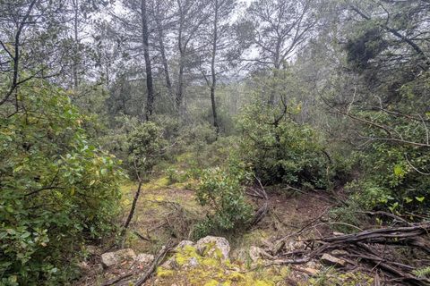 Terreno en Cotignac, Var, Cotignac - € 33.000 | Ref: 3598 - photo 6