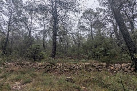 Terreno en Cotignac, Var, Cotignac - € 33.000 | Ref: 3598 - photo 7