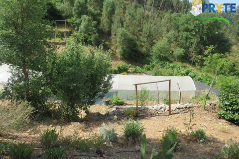 Farm i Serta, Castelo Branco, Serta - € 275.000 | Ref: AA322 - foto 3