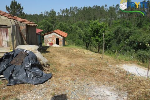 Farm i Serta, Castelo Branco, Serta - € 275.000 | Ref: AA322 - foto 9