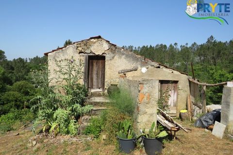 Farm i Serta, Castelo Branco, Serta - € 275.000 | Ref: AA322 - foto 11