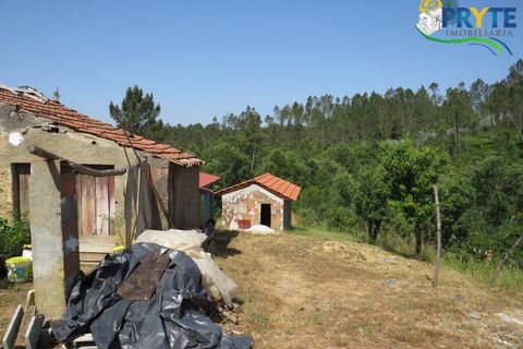 Farm i Serta, Castelo Branco, Serta - € 275.000 | Ref: AA322 - foto 12