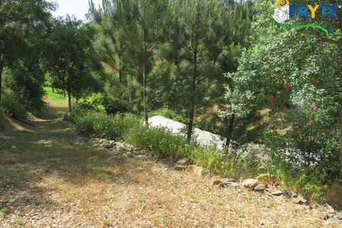 Farm i Serta, Castelo Branco, Serta - € 275.000 | Ref: AA322 - foto 19