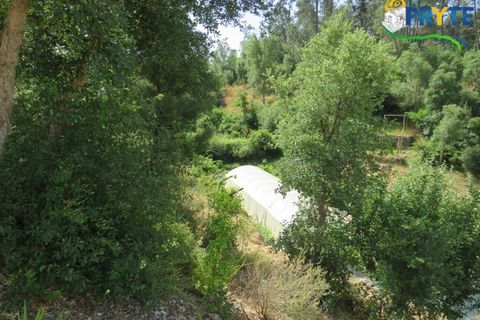 Farm i Serta, Castelo Branco, Serta - € 275.000 | Ref: AA322 - foto 21